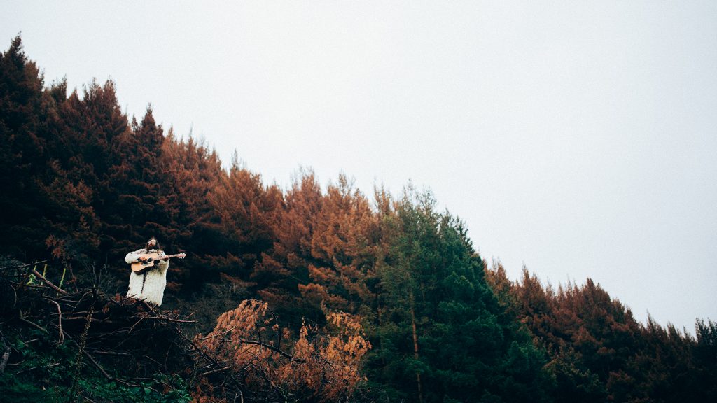 NoteVerticali.it_Onischenko_Nature