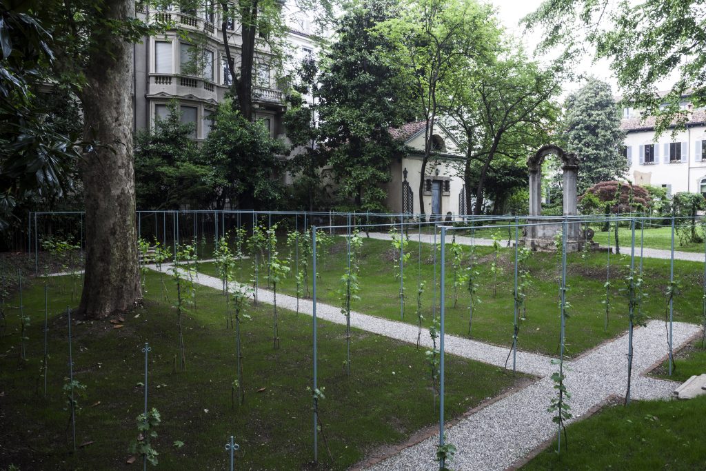 NoteVerticali.it_Casa_Atellani_Giardino_Vigna_c_Filippo_Romano