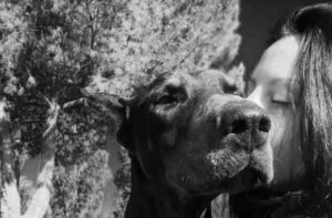 noteverticali.it_blitz_marte_e_un_paradiso_cover