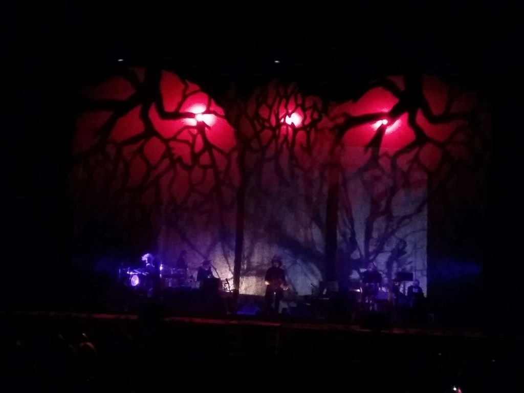 NoteVerticali.it_Vinicio_Capossela_Cosenza_Ombra_marzo_2017_10